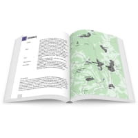 Vorschau: Panico Verlag Schwarzwald Nord - Kletterführer - Bild 11