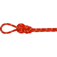 Mammut 8.0 Alpine Core Protect Dry Rope - Doppelseil