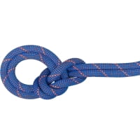 Vorschau: Mammut 9.0 Crag Sender Dry Rope - drei Normen Seil ice-sunrise - Bild 1