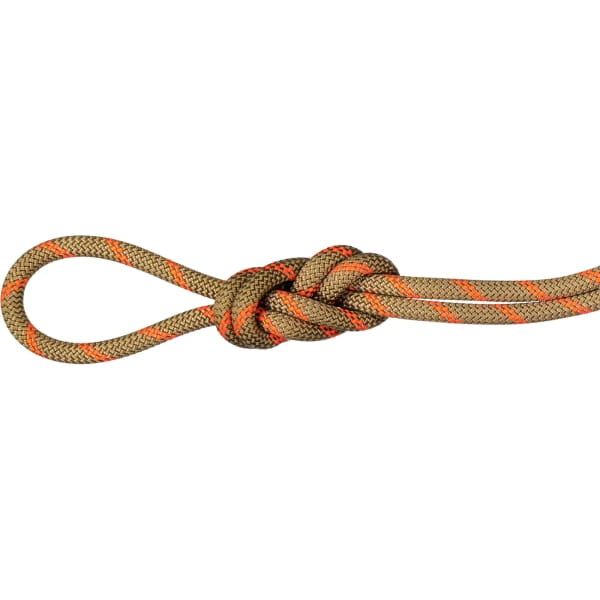 Mammut 8.0 Alpine Dry Rope - Doppelseil boa-vibrant orange - Bild 1 Mammut 8.0 Alpine Dry Rope - Doppelseil boa-vibrant orange - Bild 1