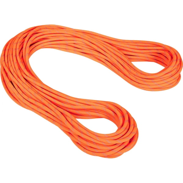 Mammut 9.5 Alpine Dry Rope - Einfachseil safety orange-zen - Bild 1
