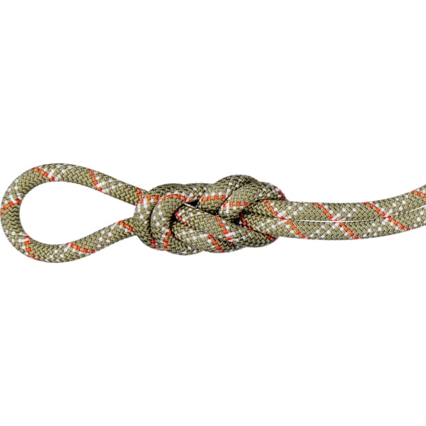 Mammut 9.5 Gym Classic Rope - Einfachseil boa-white - Bild 3