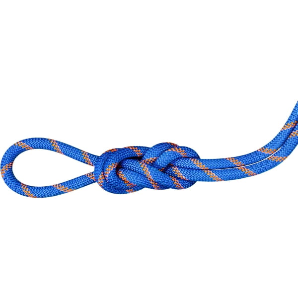 Mammut 9.0 Alpine Sender Dry Rope - drei Normen Seil ice-sunrise - Bild 1