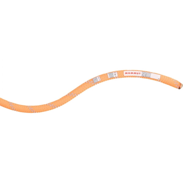 Mammut 9.5 Alpine Dry Rope - Einfachseil safety orange-zen - Bild 2
