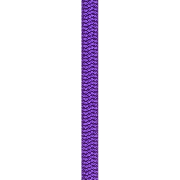 Beal Wall Master VI 10.5 mm Unicore - Hallenseil violett - Bild 13