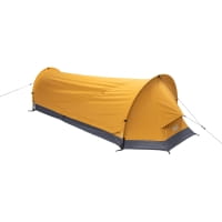 spruce yellow