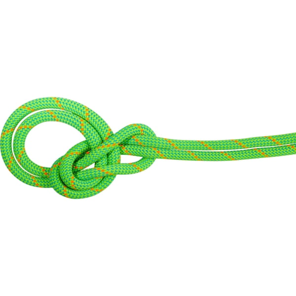 Mammut 9.5 Crag Eco Dry Rope - Einfachseil neon green-ocean - Bild 1