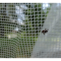 Vorschau: pharmavoyage Moskitonetz Totem - Mückenschutz - Bild 5