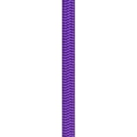 Vorschau: Beal Wall Master VI 10.5 mm Unicore - Hallenseil violett - Bild 13