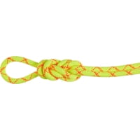 Mammut 9.5 Alpine Core Protect Dry Rope - Einfachseil