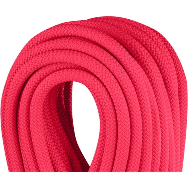 Edelrid Canary Pro Dry 8,8 mm - drei Normen Seil pink - Bild 2