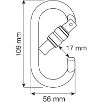 Vorschau: C.A.M.P. Oval Pro Lock - Schraubkarabiner silver - Bild 2