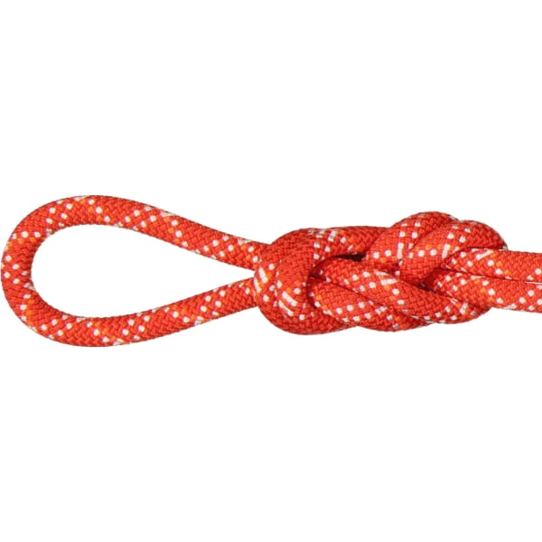 Mammut 9.5 Gym Classic Rope - Einfach-Seil raspberry-white - Bild 1