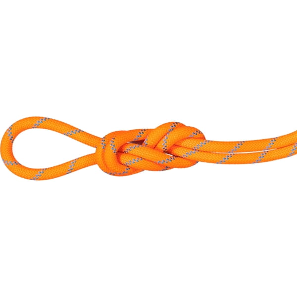 Mammut 8.7 Alpine Sender Dry Rope - drei Normen Seil vibrant orange-ocean - Bild 1