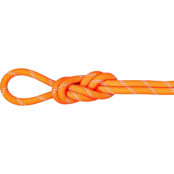 Mammut 9.5 Alpine Dry Rope - Einfachseil vibrant orange-zen - Bild 1 Mammut 9.5 Alpine Dry Rope - Einfachseil vibrant orange-zen - Bild 1